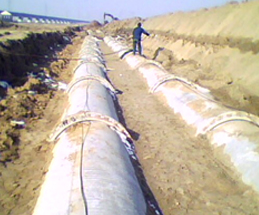 產品齊全   質優價廉